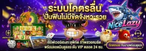 nicelazy เว็บตรง